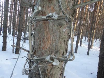 Прикрепленное изображение: DSC00075.JPG
