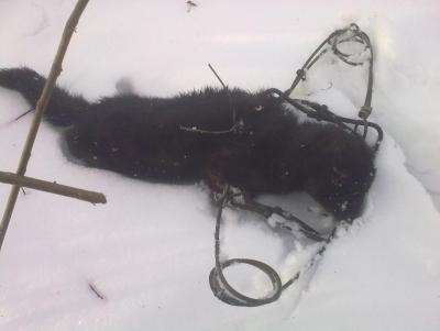 Прикрепленное изображение: 230220132410.jpg
