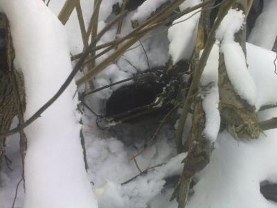 Прикрепленное изображение: 230220132408.jpg