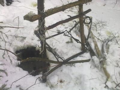 Прикрепленное изображение: 300120132371.jpg