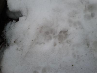 Прикрепленное изображение: 20130203_092352.jpg