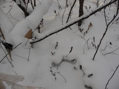 Прикрепленное изображение: P1080740.JPG