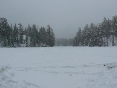 Прикрепленное изображение: P1200170.JPG