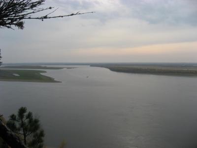 Прикрепленное изображение: IMG_0220.JPG