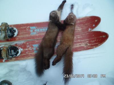 Прикрепленное изображение: SAM_1321.JPG