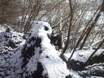 Прикрепленное изображение: CAM01557.jpg
