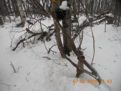 Прикрепленное изображение: DSCN1318.JPG