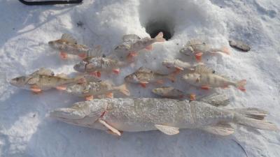 Прикрепленное изображение: DSC01106.JPG