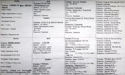 Прикрепленное изображение: лорд родословная.jpg