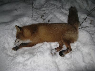 Прикрепленное изображение: 1766402.jpg