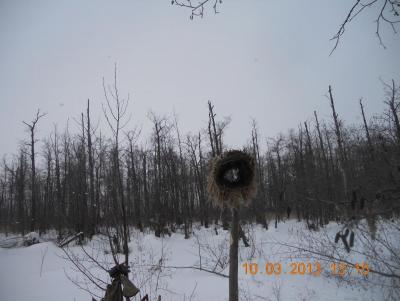 Прикрепленное изображение: DSCN0691.JPG