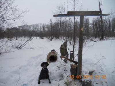 Прикрепленное изображение: DSCN0689.JPG
