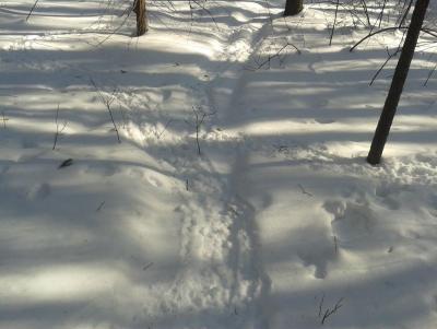 Прикрепленное изображение: 20140304_145746.jpg