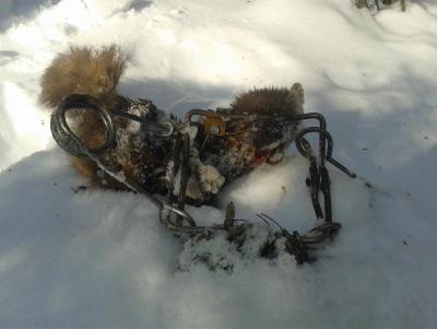 Прикрепленное изображение: 20140304_151222.jpg