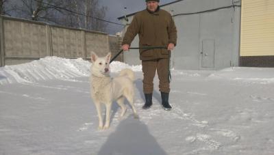 Прикрепленное изображение: IMAG0250.jpg