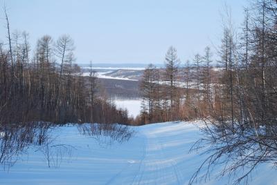 Прикрепленное изображение: DSC_0242.JPG