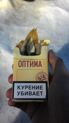 Прикрепленное изображение: P_20160324_134231.jpg