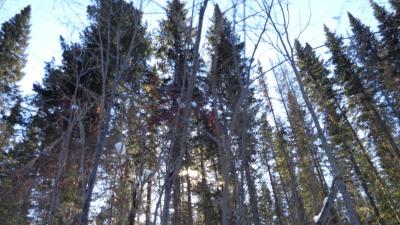Прикрепленное изображение: DSC00144.JPG