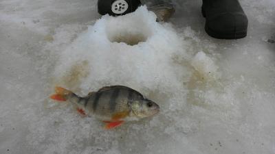 Прикрепленное изображение: P_20160325_131849.jpg