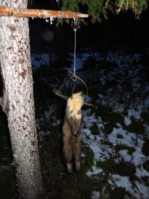 Прикрепленное изображение: B-yrUtNnGcc.jpg