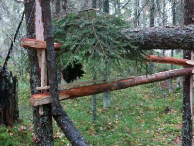 Прикрепленное изображение: bZdaa-cDWx8.jpg