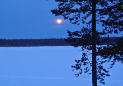 Прикрепленное изображение: DSC_4563.JPG