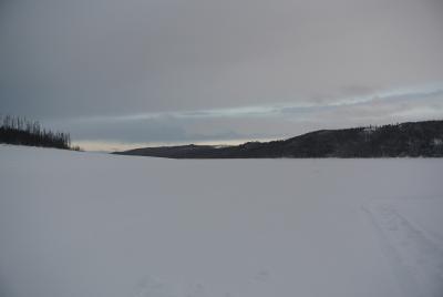 Прикрепленное изображение: DSC_4449.JPG