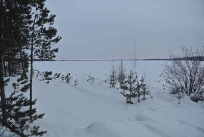 Прикрепленное изображение: DSC_4568.JPG