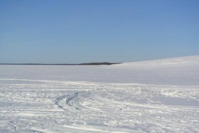 Прикрепленное изображение: DSC_4555.JPG