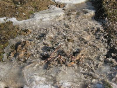 Прикрепленное изображение: IMG_2353.jpg