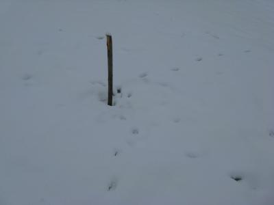 Прикрепленное изображение: IMG_2306.jpg