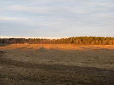 Прикрепленное изображение: IMG_2358.jpg