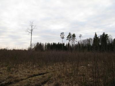 Прикрепленное изображение: IMG_2350.jpg