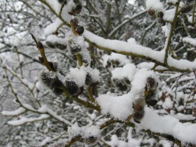 Прикрепленное изображение: IMG_2305.jpg