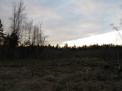 Прикрепленное изображение: IMG_2362.jpg