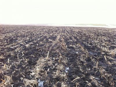 Прикрепленное изображение: счет № 3 от 17.04.12 015.jpg