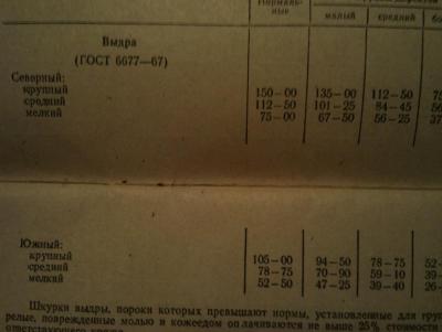 Прикрепленное изображение: DSC06344.JPG