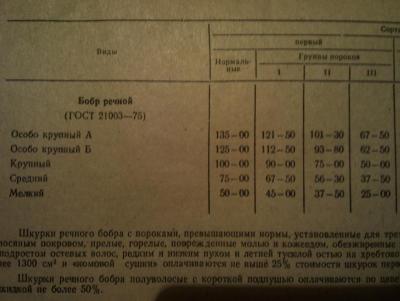 Прикрепленное изображение: DSC06339.JPG