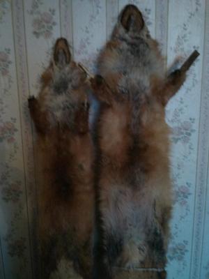 Прикрепленное изображение: DSC06469.JPG