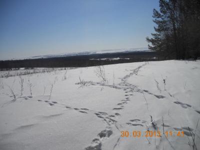 Прикрепленное изображение: DSCN0695.JPG