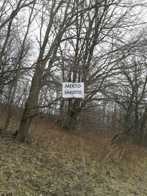 Прикрепленное изображение: 2014-04-14 09.45.50.jpg