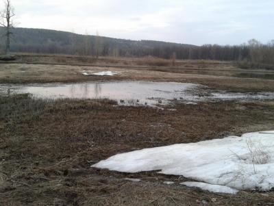 Прикрепленное изображение: 2014-04-17 20.18.56.jpg