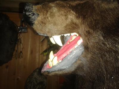 Прикрепленное изображение: 20140403_130523.jpg