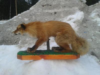 Прикрепленное изображение: 20140318_175009.jpg