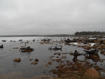 Прикрепленное изображение: Изображение 371.jpg