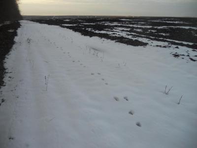 Прикрепленное изображение: DSCN1190.JPG