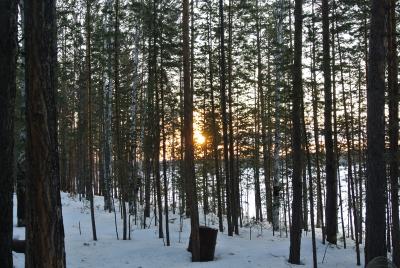 Прикрепленное изображение: DSC_4772.JPG