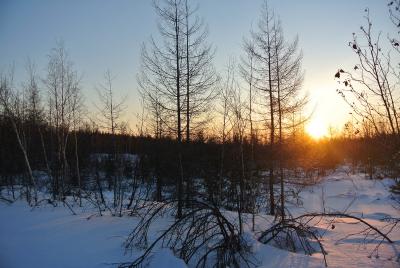 Прикрепленное изображение: DSC_4716.JPG