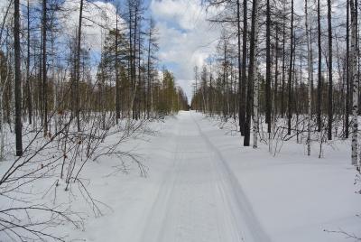 Прикрепленное изображение: DSC_4805.JPG