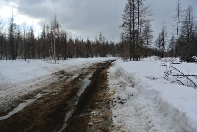 Прикрепленное изображение: DSC_4810.JPG